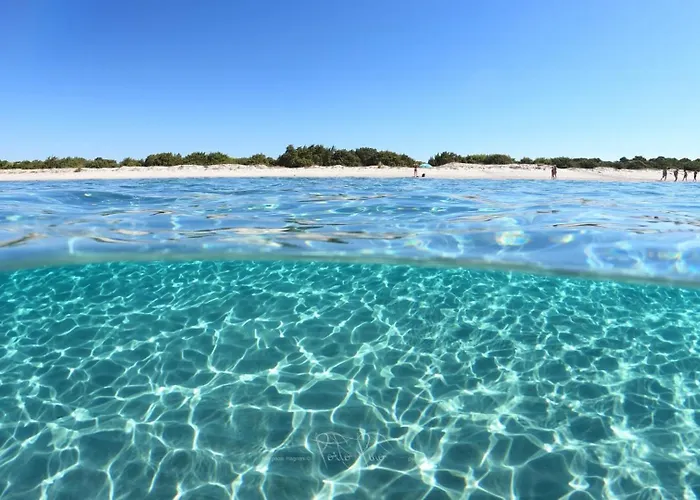 Sardinia House Country Casa vacanze SantʼAnna Arresi